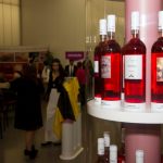 Sul Informação - FOTOGALERIA: Gala Lagoa Cidade do Vinho 2016 encheu o Centro de Congressos do Arade