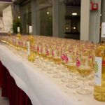 Sul Informação - FOTOGALERIA: Gala Lagoa Cidade do Vinho 2016 encheu o Centro de Congressos do Arade