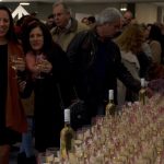 Sul Informação - FOTOGALERIA: Gala Lagoa Cidade do Vinho 2016 encheu o Centro de Congressos do Arade