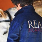 Sul Informação - Real Picadeiro apresenta III Poule de Dressage no Algarve