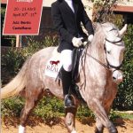 Sul Informação - Real Picadeiro apresenta III Poule de Dressage no Algarve