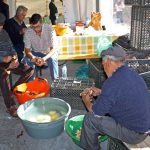 Sul Informação - Jovens agricultores devem apostar na batata-doce de Aljezur, diz a ministra (com fotos)