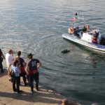 Sul Informação - FOTOGALERIA: Avioneta acidentada já foi retirada do fundo do mar e aguarda investigações