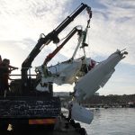 Sul Informação - FOTOGALERIA: Avioneta acidentada já foi retirada do fundo do mar e aguarda investigações