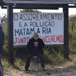 Sul Informação - Reportagem: O dia em que o camaleão foi herói na Ilha do Farol (com fotos)