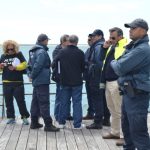 Sul Informação - Reportagem: O dia em que o camaleão foi herói na Ilha do Farol (com fotos)