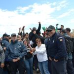 Sul Informação - Reportagem: O dia em que o camaleão foi herói na Ilha do Farol (com fotos)