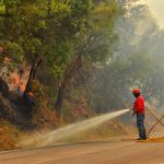 Sul Informação - Dispositivo Especial de combate a incêndios de 2013 semelhante ao do ano passado