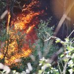 Sul Informação - Fotogaleria: Fogo continua incontrolável na Serra de Monchique