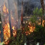 Sul Informação - Fotogaleria: Fogo continua incontrolável na Serra de Monchique