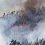 Sul Informação - Fotogaleria: Fogo continua incontrolável na Serra de Monchique