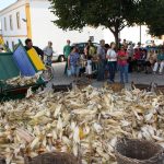 Sul Informação - Fotogaleria: Mexilhoeira Grande mostrou as suas tradições e saberes