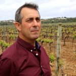 Sul Informação - Escanções salientam aumento da qualidade em novo Concurso de Vinhos do Algarve