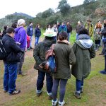 Sul Informação - Saramugo corre risco de extinção mas ainda sobrevive na Ribeira do Vascão…com ajudas