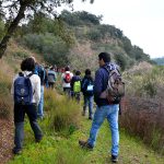 Sul Informação - Saramugo corre risco de extinção mas ainda sobrevive na Ribeira do Vascão…com ajudas