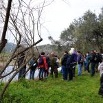 Sul Informação - Saramugo corre risco de extinção mas ainda sobrevive na Ribeira do Vascão…com ajudas