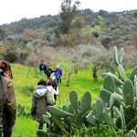 Sul Informação - Saramugo corre risco de extinção mas ainda sobrevive na Ribeira do Vascão…com ajudas