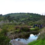 Sul Informação - Saramugo corre risco de extinção mas ainda sobrevive na Ribeira do Vascão…com ajudas