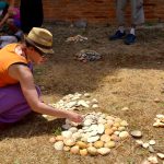 Sul Informação - Fotogaleria: Famílias inspiraram-se em Milreu para criar Land Art