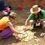 Sul Informação - Fotogaleria: Famílias inspiraram-se em Milreu para criar Land Art