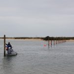 Sul Informação - Trinta anos depois, acabou o cenário dos barcos fundeados no recovo da Culatra