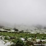 Sul Informação - FOTOGALERIA: Algarvios subiram a Serra para ver a neve em Monchique