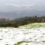 Sul Informação - FOTOGALERIA: Algarvios subiram a Serra para ver a neve em Monchique