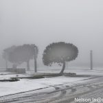 Sul Informação - FOTOGALERIA: Algarvios subiram a Serra para ver a neve em Monchique