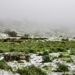 Sul Informação - FOTOGALERIA: Algarvios subiram a Serra para ver a neve em Monchique