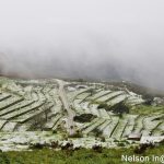 Sul Informação - FOTOGALERIA: Algarvios subiram a Serra para ver a neve em Monchique