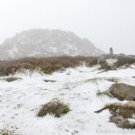 Sul Informação - FOTOGALERIA: Algarvios subiram a Serra para ver a neve em Monchique