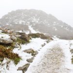 Sul Informação - FOTOGALERIA: Algarvios subiram a Serra para ver a neve em Monchique