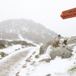 Sul Informação - FOTOGALERIA: Algarvios subiram a Serra para ver a neve em Monchique