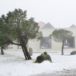 Sul Informação - FOTOGALERIA: Algarvios subiram a Serra para ver a neve em Monchique