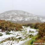 Sul Informação - FOTOGALERIA: Algarvios subiram a Serra para ver a neve em Monchique