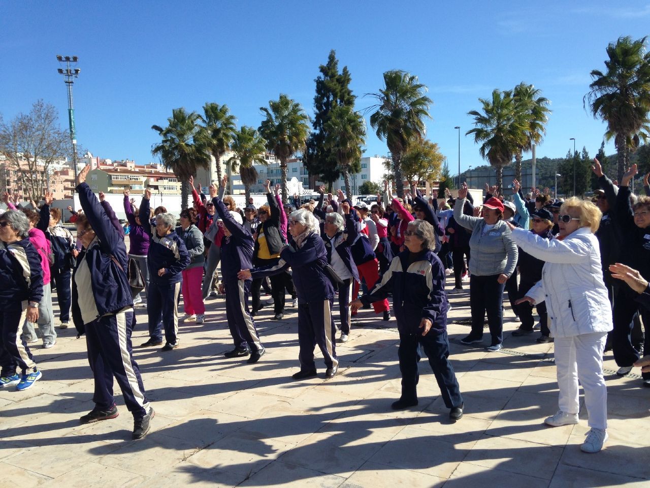 Olimpiadas Sénior Silves