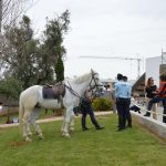 Sul Informação - OPTO já abriu para mostrar caminhos do seu futuro aos jovens estudantes algarvios (com fotos)