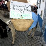 Sul Informação - FOTOGALERIA: Nem os burros de Odeceixe querem a exploração de Petróleo