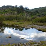 Sul Informação - Saramugo corre risco de extinção mas ainda sobrevive na Ribeira do Vascão…com ajudas