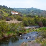 Sul Informação - Saramugo corre risco de extinção mas ainda sobrevive na Ribeira do Vascão…com ajudas