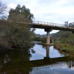 Sul Informação - Saramugo corre risco de extinção mas ainda sobrevive na Ribeira do Vascão…com ajudas