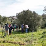 Sul Informação - FOTOGALERIA: Polícia Judiciária recolhe indícios no campo e na casa da mãe de Rodrigo Lapa