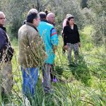 Sul Informação - FOTOGALERIA: Polícia Judiciária recolhe indícios no campo e na casa da mãe de Rodrigo Lapa