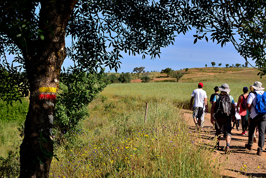 Rota Vicentina_novos percursos_1