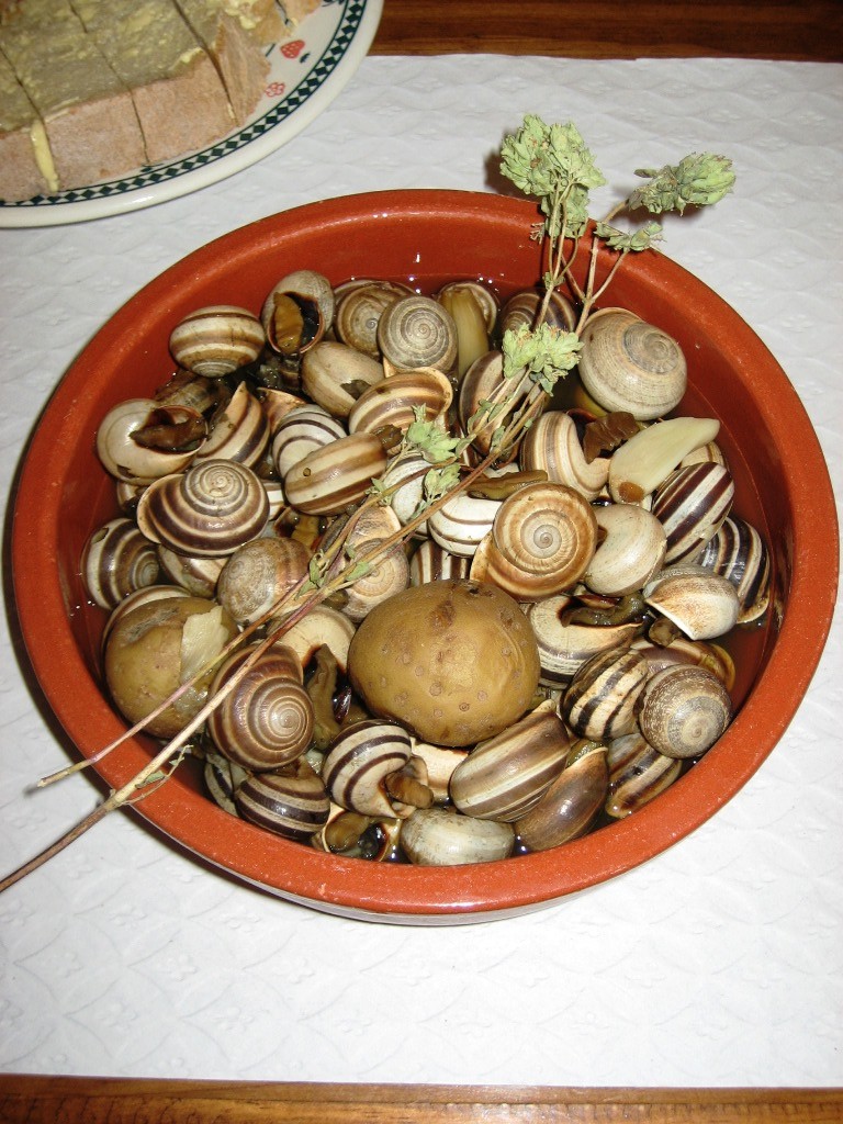 Rota do Caracol_SBA