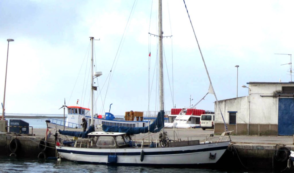 Veleiro Tobitoo encalhou ao largo da Ilha Armona