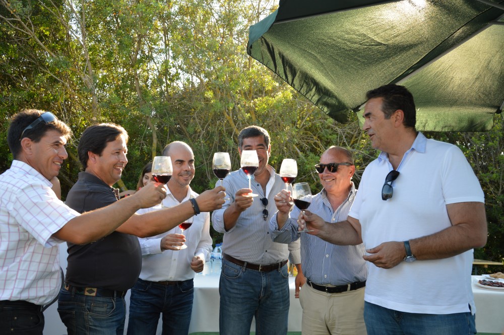 Um brinde à qualidade dos vinhos de Lagoa