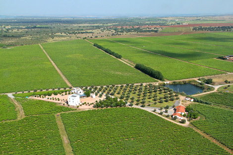 vinhos do alentejo