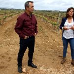 Sul Informação - Escanções salientam aumento da qualidade em novo Concurso de Vinhos do Algarve