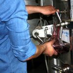 Sul Informação - Escanções salientam aumento da qualidade em novo Concurso de Vinhos do Algarve